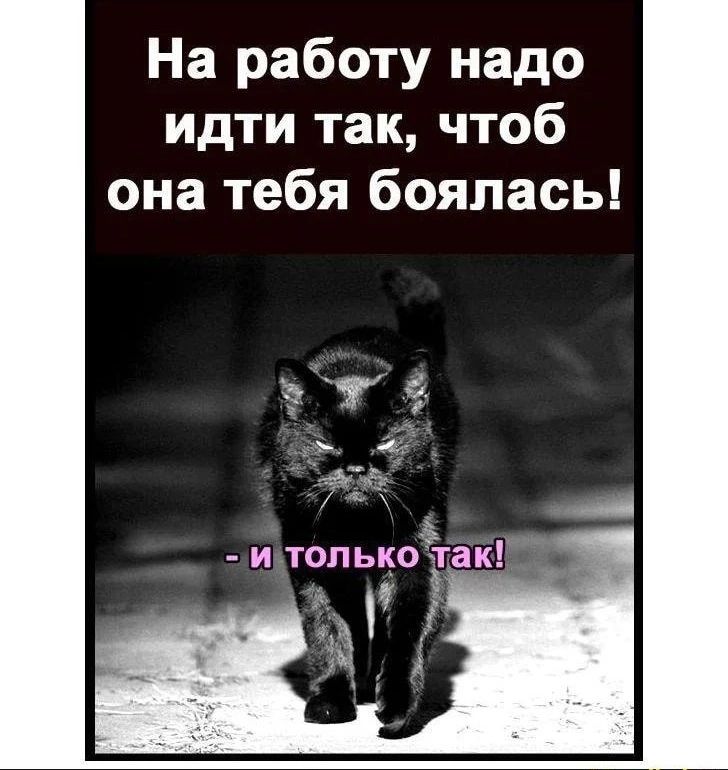 На работу надо идти так чтоб она тебя боялась