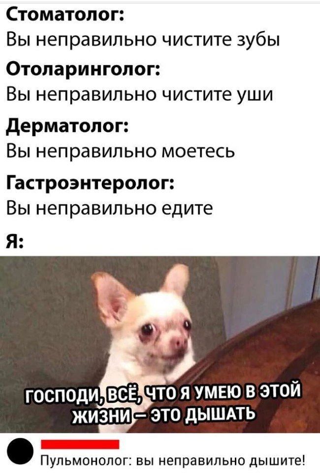 Стоматолог Вы неправильно чистите зубы ОТОЛаРИНГОЛОГ Вы неправильно чистите УШИ дерматолог Вы неправильно моетесь Гастроэнтеролог Вы неправильно едите ЖИЗНИ ЭТО дЫШАТЬ Пульмонолог вы неправильно дышите