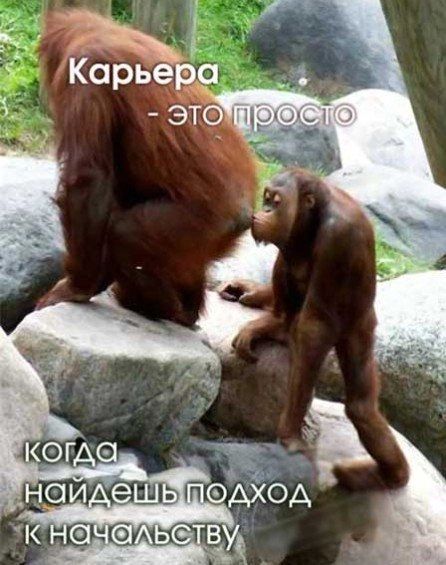 Карьер _ эт_