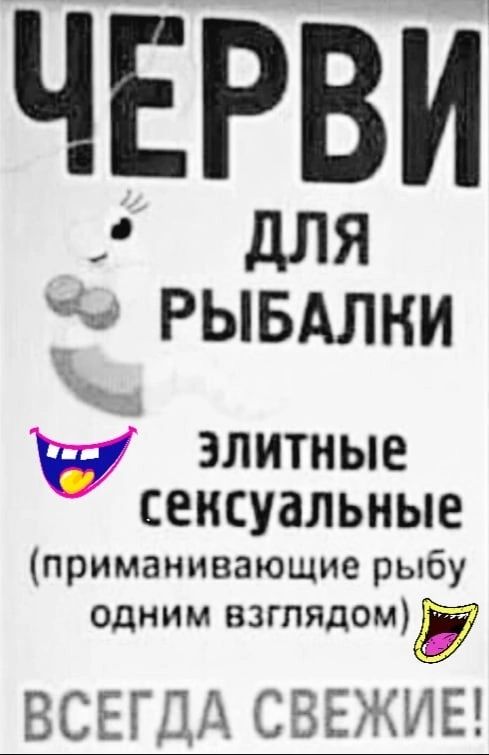 чррви а РЫДЛБАЛНИ элитные СЕИСУЗЛЬНЫЕ приманивающие рыбу одним взгпядомЁ