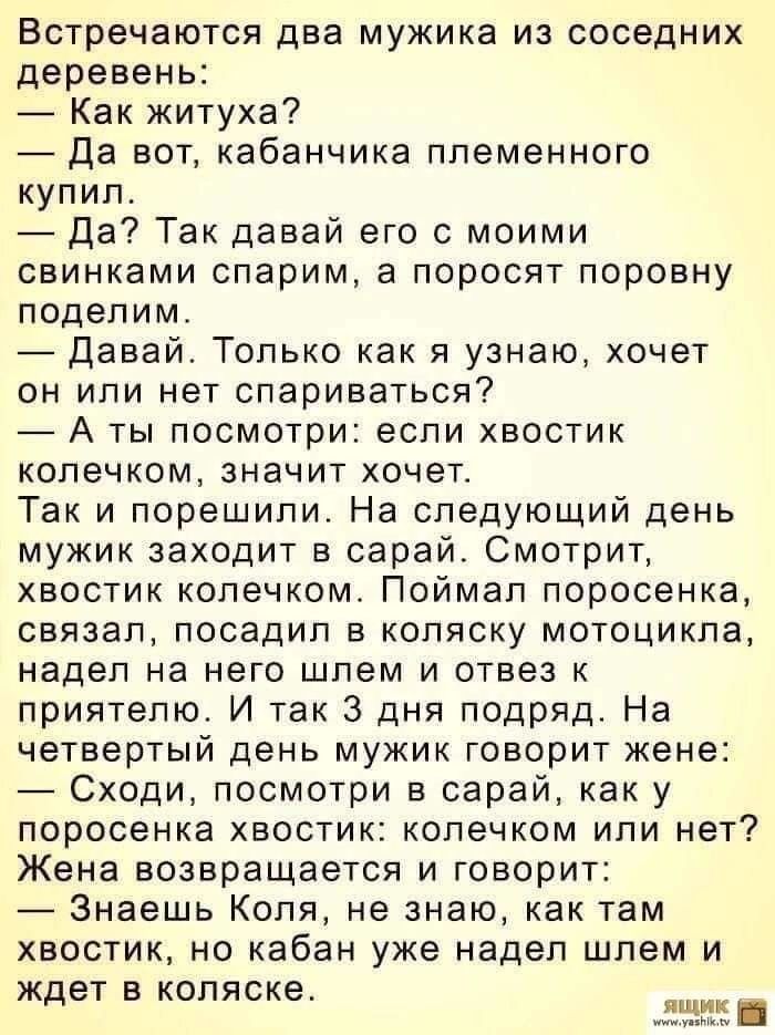 Встречаются два мужика из соседних деревень Как житуха Да вот кабанчика племенного купил да Так давай его с моими свинками спарим а поросят поровну поделим давай Только как я узнаю хочет он или нет спариваться А ТЫ ПОСМОТРИ если ХБОСТИК колечком ЗНЭЧИТ хочет Так и порешили На следующий день мужик заходит в сарай Смотрит хвостик колечком Поймал поросенка связал посадил в коляску мотоцикла надел на 