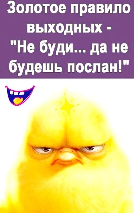 Золотое правило ВЫХОдН ых Не буди да не будешь послан