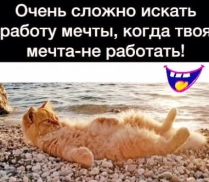 Очень сложно искать работу мечты когда тво мечта не работать