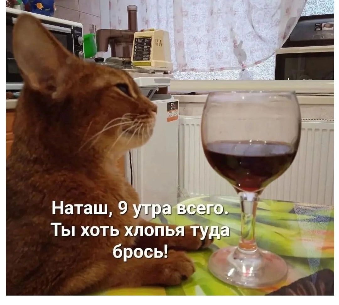 Наташ 9 уд ра Ты хоть