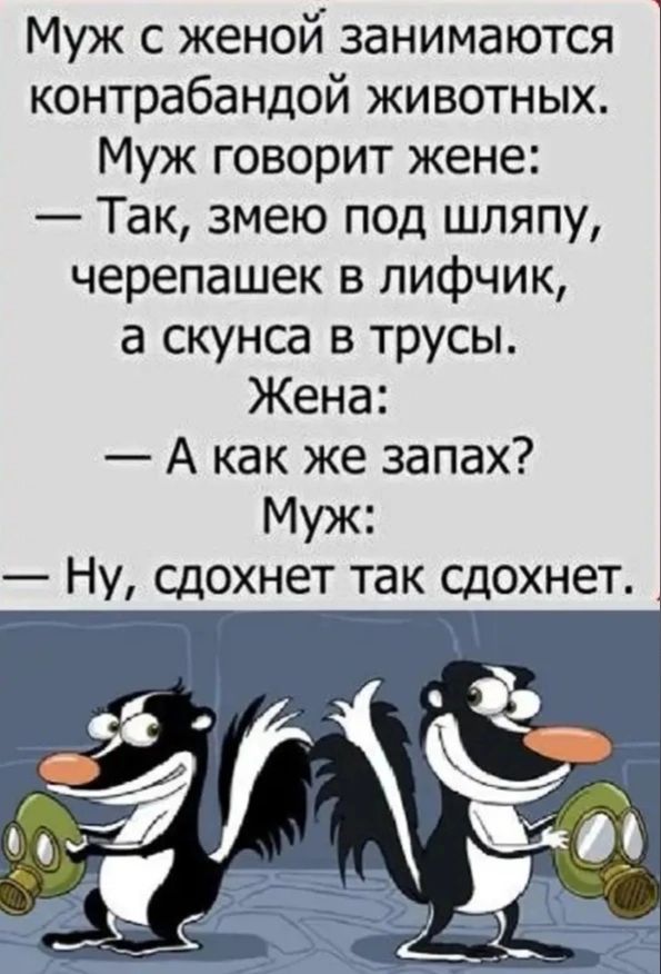 Муж с женой занимаются контрабандой животных Муж говорит жене Так змею под шляпу черепашек в лифчик а скунса в трусы Жена А как же запах Муж Ну сдохнет так сдохнет