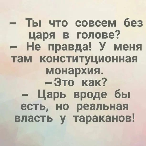 Ты что совсем без царя в голове Не правда У меня там конституционная монархия Это как Царь вроде бы есть но реальная впасть у тараканов
