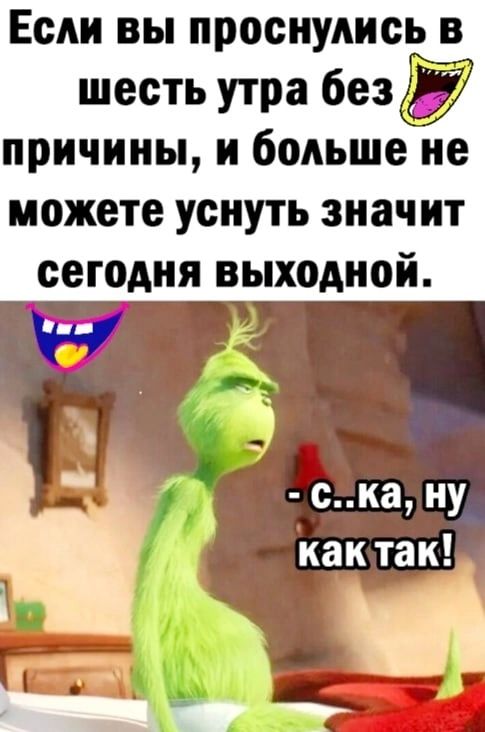 ЕСМ ВЫ ПРОСНУАИСЪ В шесть утра без в причины и больше не можете уснуть знач ит сегодня выходной ска ну как так