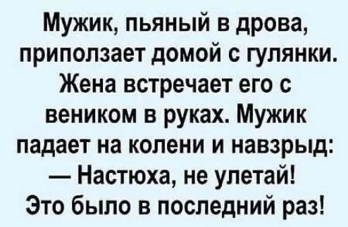 Мужик пьяный в дрова приползает домой с гулянки Жена встречает его с веником в руках Мужик падает на колени и навзрыд Настюха не улетай Это было в последний раз