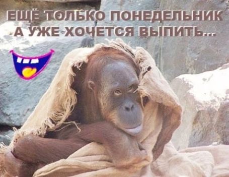 енвдыьщ А Е ХОЧЕТСЯ цыпиув