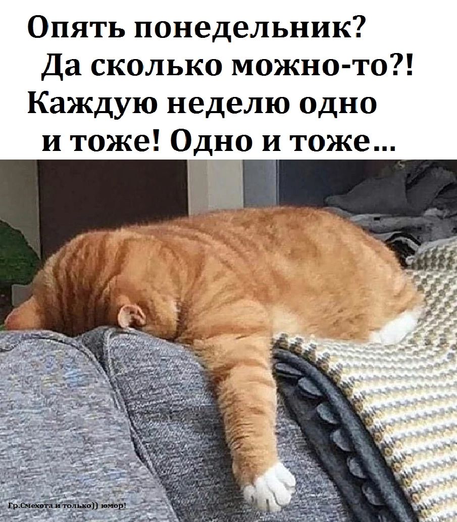 Опять понедельник Да сколько можно то Каждую неделю одно и тоже Одно и тоже 9