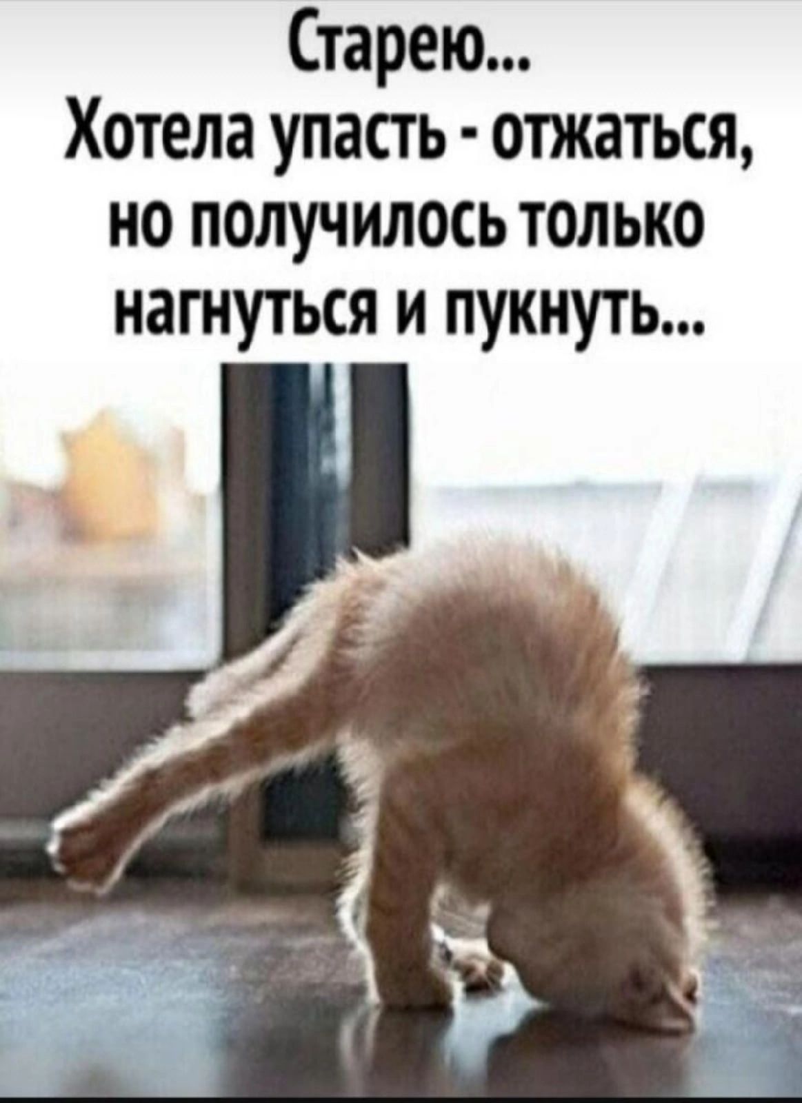 Старею Хотела упасть отжаться но получилось только нагнуться и пукнуть