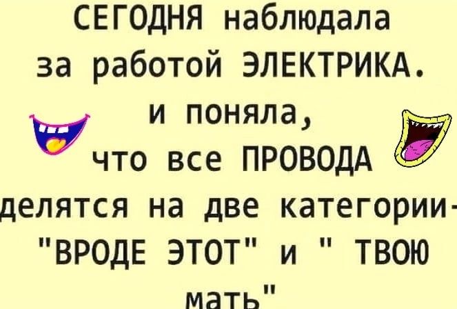 СЕГОДНЯ наблюдала за работой ЭЛЕКТРИКА и поняла учто все ПРОВОДА делятся на две категории ВРОДЕ ЭТОТ и ТВОЮ мать