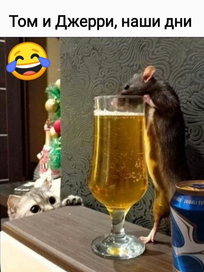 Том и Джерри наши дни