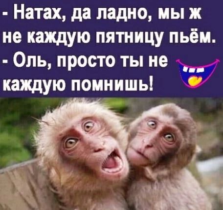 Натах да ладно мы ж не каждую пятницу пьём Оль просто ты не