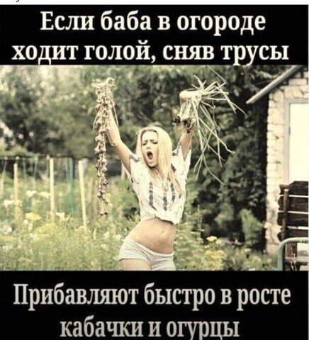Если баба в огороде трусы у _ 4 Прибавляют быстро в росте кабачки и о ы