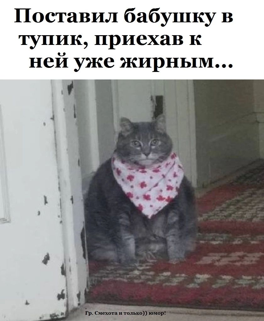 Поставил бабушку в тупик приехав к ней уже жирным