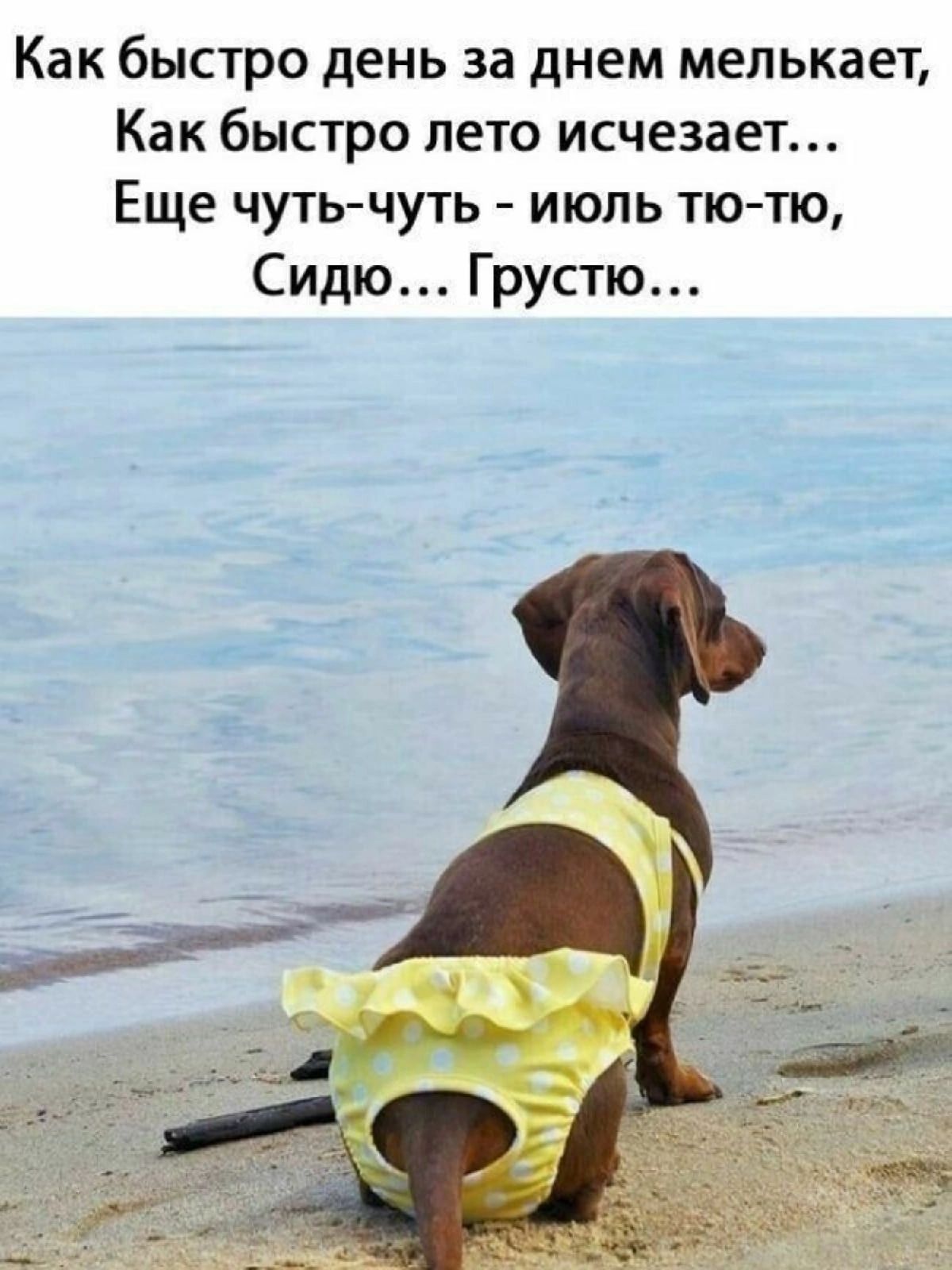 Как быстро день за днем мелькает Как быстро лето исчезает Еще чутьчуть июль тю тю Сидю Грустю