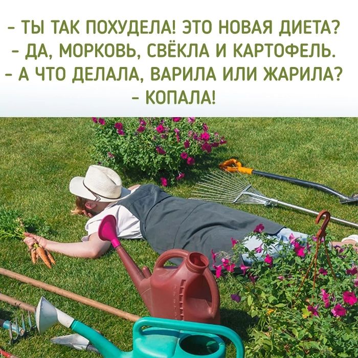 ТЫ ТАК ПОХУДЕЛА ЭТО НОВАЯ ДИЕТА дА МОРКОВЬ СВЁКЛА И КАРТОФЕЛЬ А ЧТО дЕЛАПА ВАРИПА ИЛИ ЖАРИЛА КОПАЛА