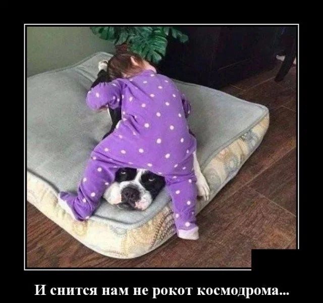 И снится нам не рокот космодрома
