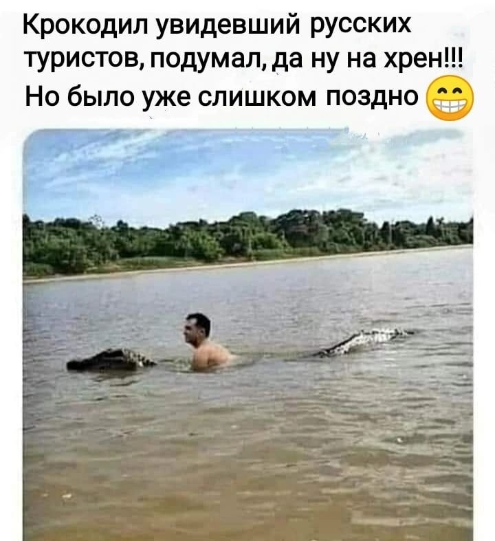 Крокодил увидевший русских туристов подумал да ну на хрен Но было уже слишком поздно гтрз тк сотп итог