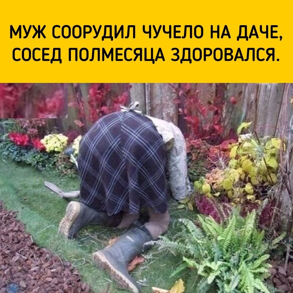 МУЖ СООРУдИЛ ЧУЧЕЛО НА дАЧЕ СОСЕД ПОЛМЕСЯЦА ЗДОРОВАЛСЯ