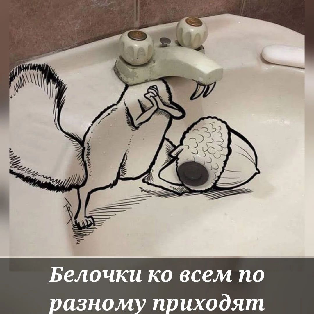 Белочка ко всем по азном п иходят