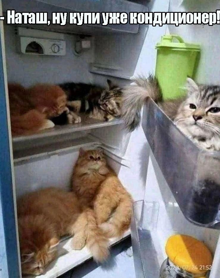 а Наташ ну купиуже э 38 аЙ ь н у