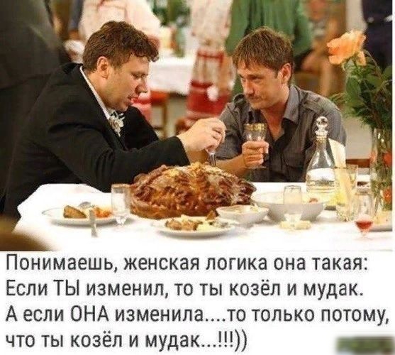 Понимаешь женская логика она такая Если ТЫ изменил то ты козёл и мудак А если ОНА изменилато только потому что ты козёл и мудак