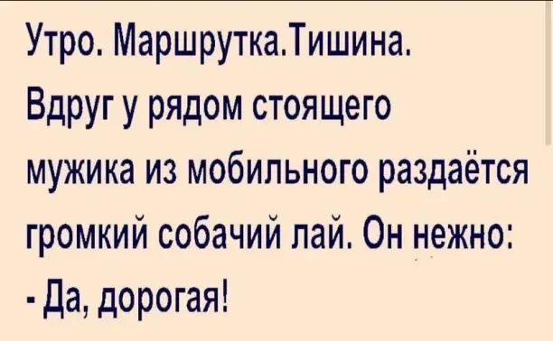 Утро МаршруткаТишина Вдруг у рядом стоящего мужика из мобильного раздаётся громкий собачий лай Он нежно Да дорогая