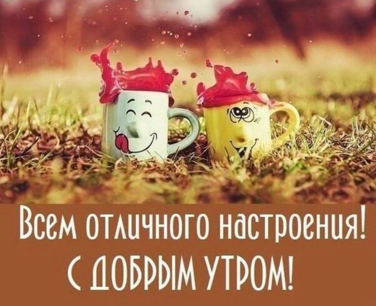 Всем отшчного настрбёния ЦОБРЫМ УТРОМ