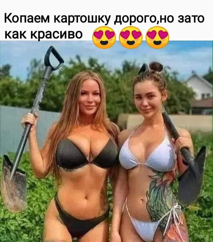 Копаем картошку дорогоно зато