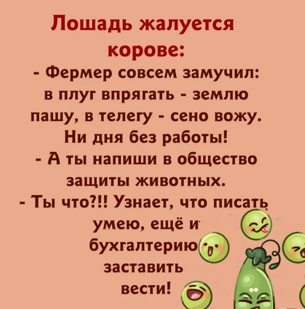 Лошадь жалуется корове Фермер совсем замучил В ППУГ ВПРЯГПТЬ землю пишу в телегу сено вожу Ни дня без работы А ты напиши в общество защиты животных Ты что Узнает что писать умею ещё и бухгалтериюО ЦЭ С заставить вести