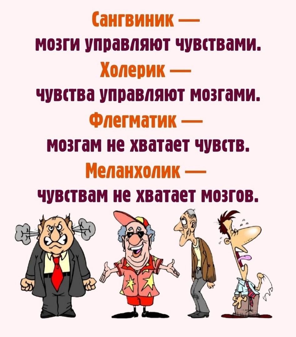 Сангвиник мозги управляют чувствами Холерик чувктва управляют мозгами Флегиатии мозгам не хватает чувств Мелаихолии чувствам не хватает ионов