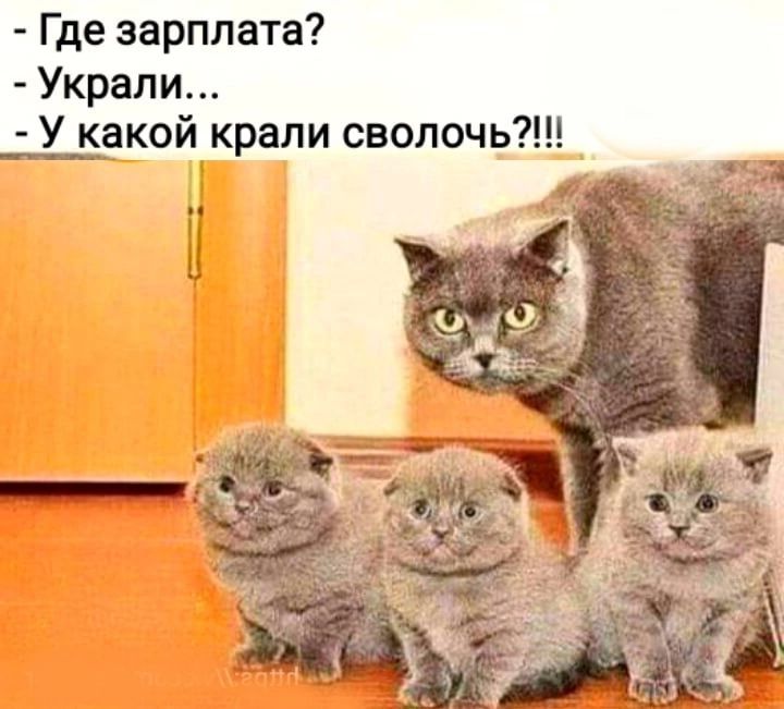 Где зарплата Украли У какой крали сволочь