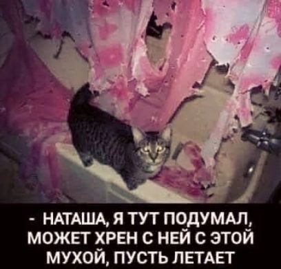 НАТАША я тут пчдумдл можвт хрен с нем с этои мухой пусть ЛЕТАЕТ