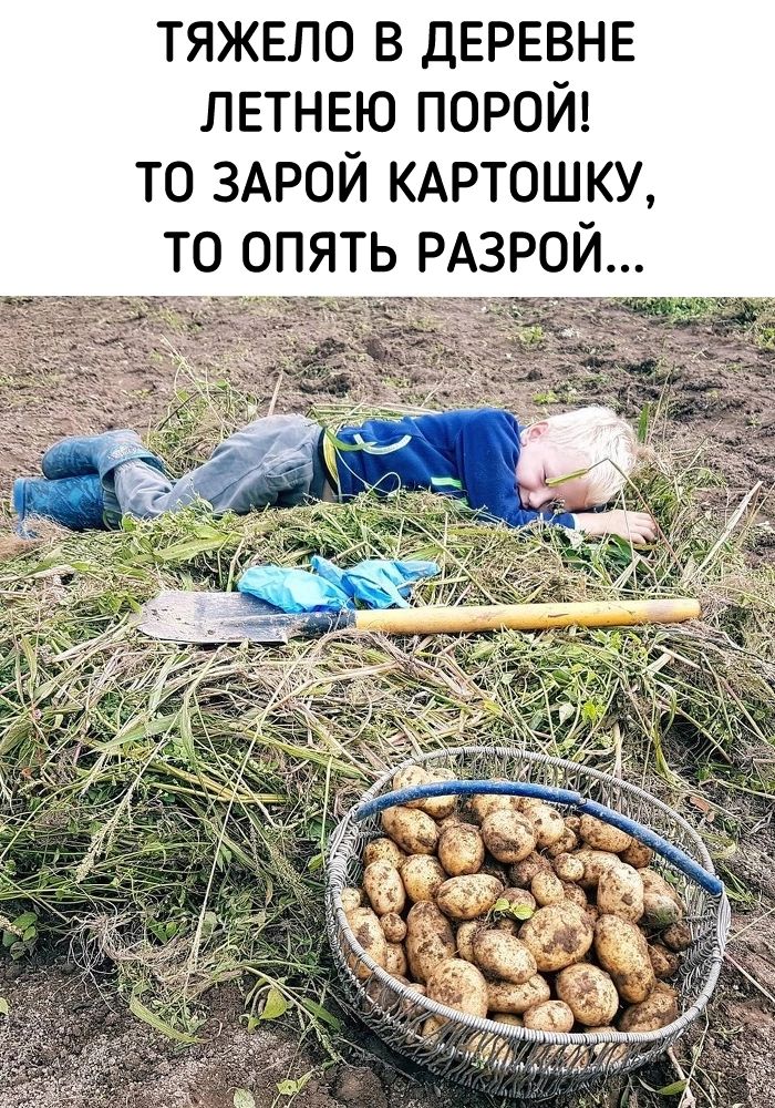 тяжело в деревне летнею порой то ЗАРОЙ КАРТОШКУ ТО ОПЯТЬ РАЗРОЙ