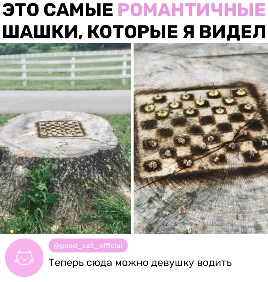 ЭТОСАМЫЕ ШАШКИ КОТОРЫЕЯВИДЕЛ Теперь сюда можно девушку водить