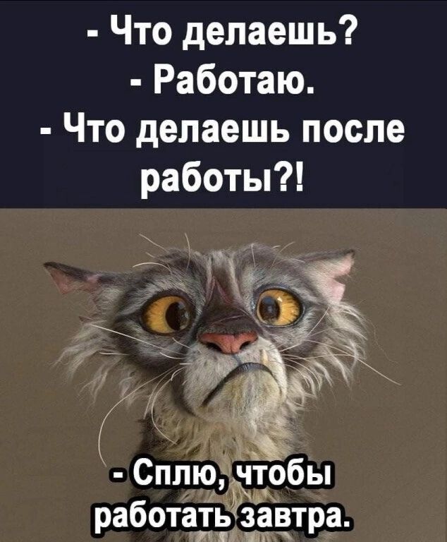 Что делаешь Работаю Что делаешь после работы р _ 95 Сллюдчтобы работатьавтра лх