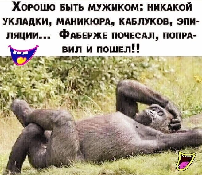 Хорошо выть мужиком нишой УКЛАдКИ МАНИКЮРА КАБЛУКОБ ЗПИ ляции Фтегже ПОЧЕСАЛ попря вил и пошел