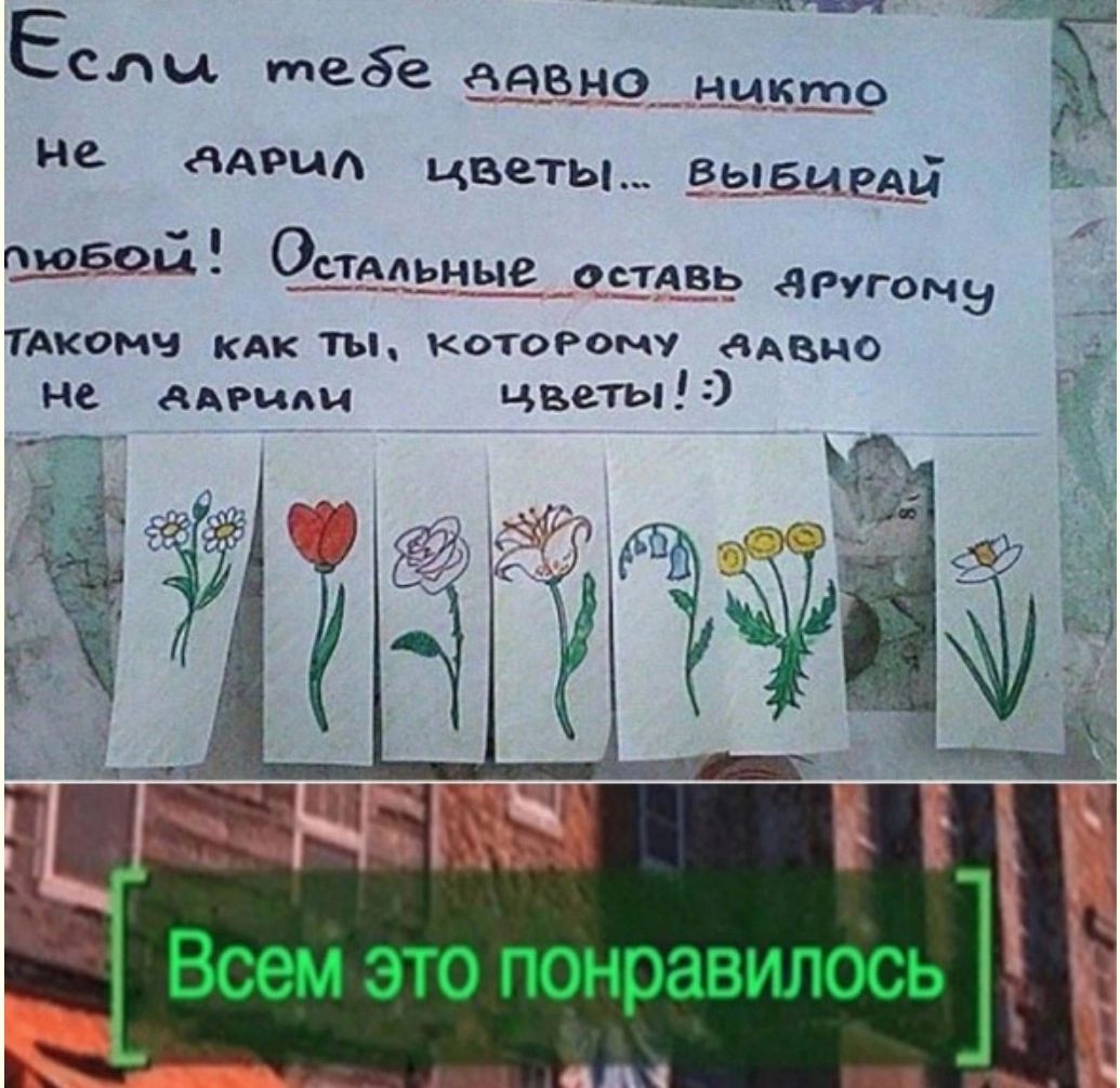 Если тебе давно никто на давид цветы ВЫБИРАЙ грядой Очдльныв оетдвь аргганэ тдконч кдк ты котоРому дано не ААНми цветыд