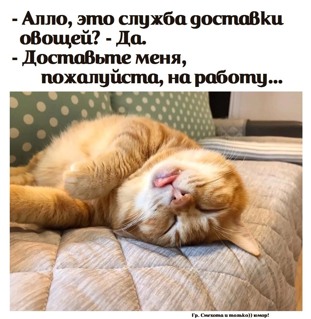 Алло это служба уостшіш оВощей Да Достаньте меня
