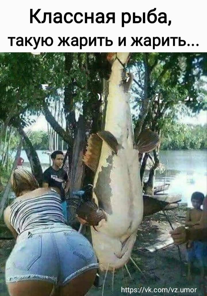 Классная рыба такую жарит Мирзууксотчимтог