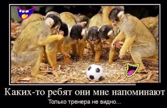 Каких то ребт они мне напоминают Топыю тренера не видно