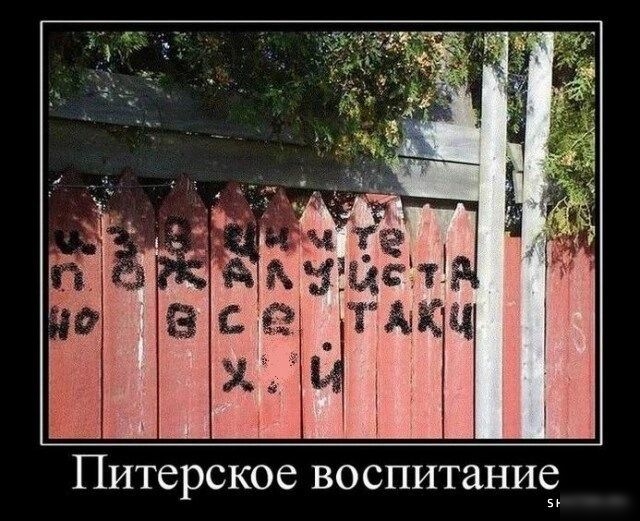 Питерское воспитание пи