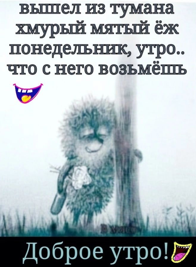 вьппел из тумана хмурый мятьгй ёж понедельъшк утро что с него возьмёшь д Доброе утро