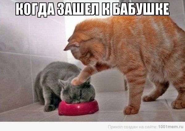 Швдышин