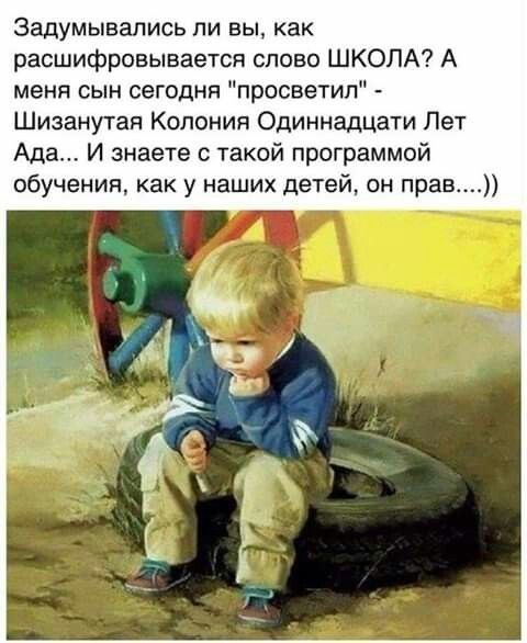 Задумывались ли вы как расшифровывается спово ШКОЛА А меня сын сегодня просветил Шизанутая Колония Одиннадцати Пет Ада И знаете с такой программой обучении как у наших детей он прав