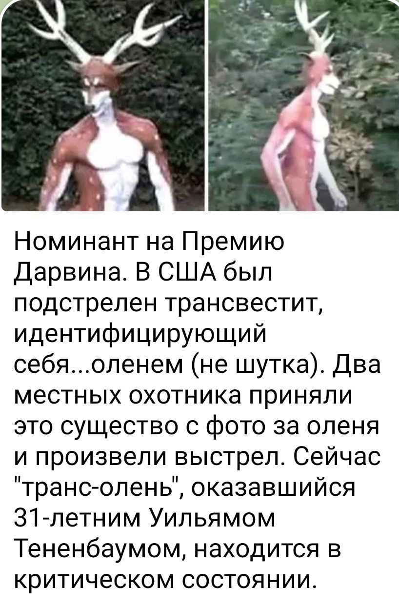 _ Номинант на Премию Дарвина В США был подстрелен трансвестит идентифицирующий себяопенем не шутка Два местных охотника приняли это существо с фото за оленя и произвели выстрел Сейчас транс олень оказавшийся 31летним Уильямом Тененбаумом находится в критическом состоянии