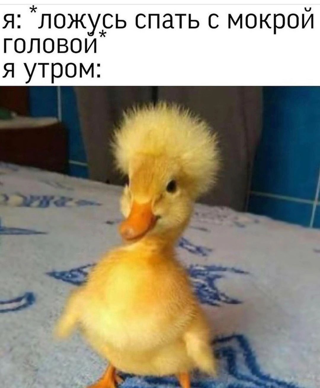 Я ЛОЖУСЬ СПЗТЬ С МОКРОЙ головои я утром