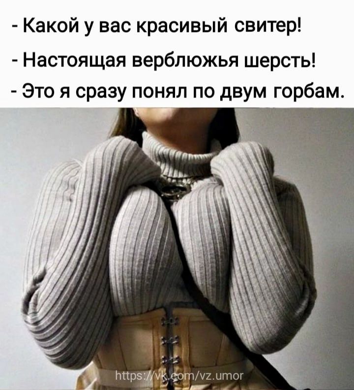 Какой у вас красивый свитер Настоящая верблюжья шерсть Это я сразу понял по двум горбам